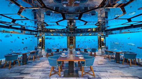 8 Best Underwater Restaurants In Maldives Tusk Travel Blog