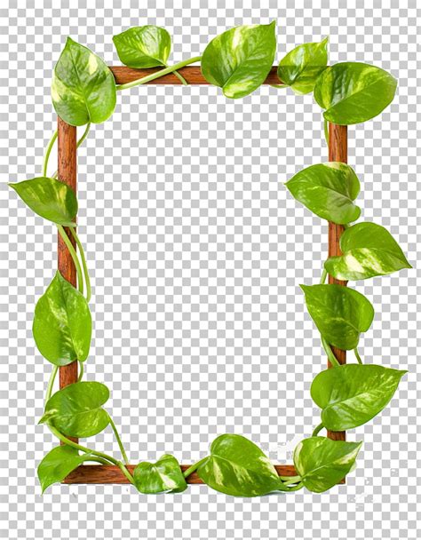 Ivy Border Clipart Small Brown Leaf Pictures On Cliparts Pub 2020 🔝