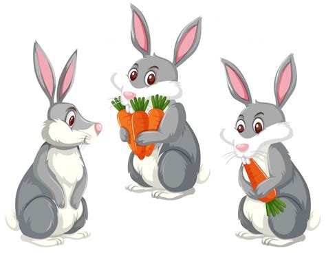 Cartoon Rabbit With Carrot Vector Free Download