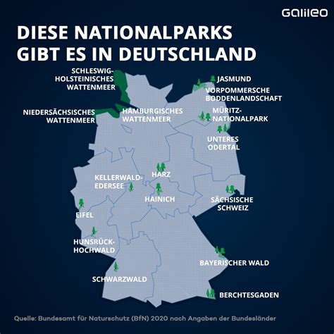 Naturschutzgebiete und Nationalparks in Deutschland: Tipps für Besuche ...