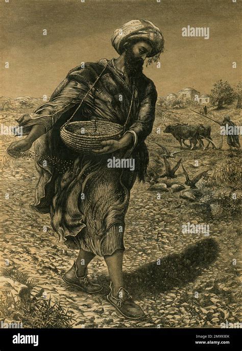 The Parable Of The Sower Sowing Seeds Stock Photo Alamy
