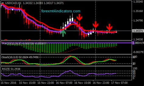 5 Minute Killer Forex Binary Options Trading Strategy