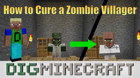 This guide will show you how to cure an infected zombie villager in minecraft so that they return back to being a normal villager. How to make a zombie villager into a villager Nigella ...
