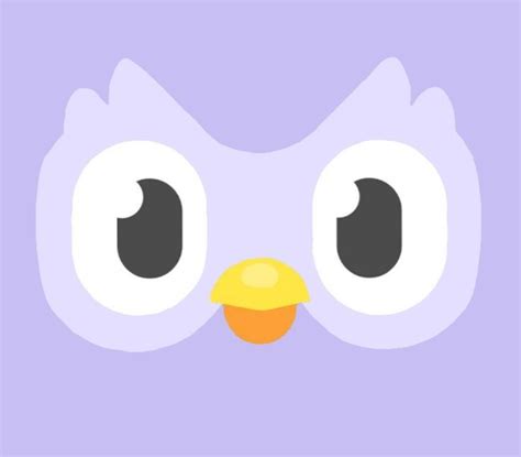 Duolingo Icon Ícones Personalizados Ícone De App Icones Do Iphone