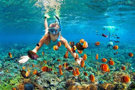 Snorkeling In The Maldives What To Know Before You Go Desertdivers
