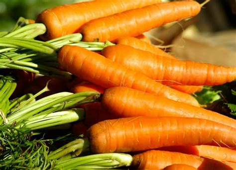 Qu Vitaminas Tiene La Zanahoria Conoce Los Nutrientes Y Los