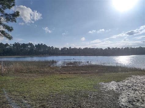 Clearwater Lake Rec Area National Forests In Florida