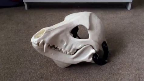 My New Skull Mask!! | Skeletal K9 Resin Head - YouTube