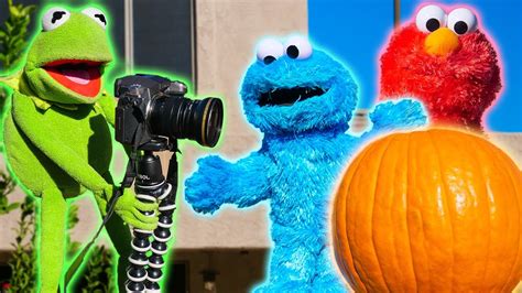 Cookie Monster And Kermit The Frog Trick Elmo With A Pumpkin Youtube