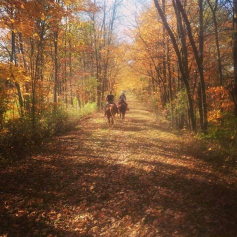 Horseback Riding Or Trail Riding In The Fall Is Beautiful Corn Stalks