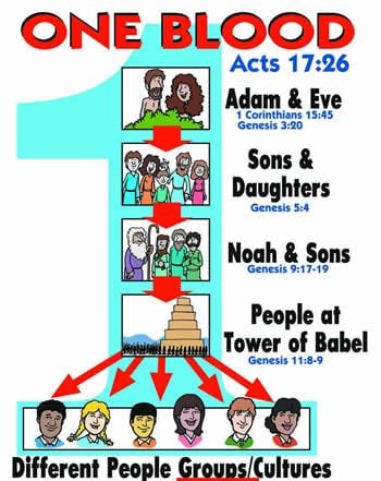 Adam and eve became the first family. Who did cain marry and where did she come from IAMMRFOSTER.COM