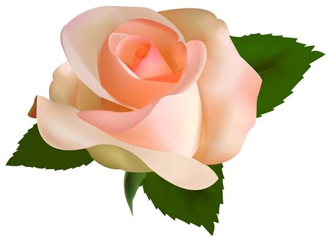 Rose Lucia Clipart Clipground