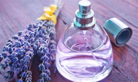 Best Lavender Perfume 2023 5 Detailed Reviews Laurenvanessa