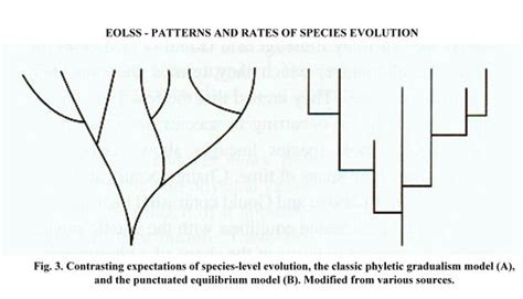 Evolution Of Species Notes Biology Mrs Mccomas