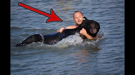 Огромный медведь чуть не утонул в океане но мужчина совершил невозможное Youtube