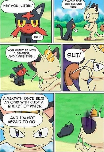 Meowth Vs Litten Pokemon Meowth Pokemon Cat Top