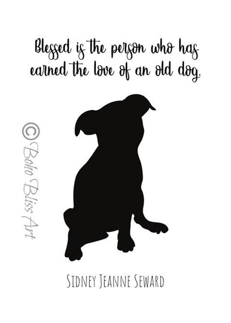 Blessed Is The Person Who Has Earned The Love Of An Old Dog Dog