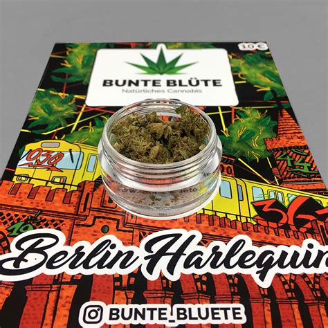 santhica 27 in berlin harlequin 1 g cbd blüten cbd chillhouse der headshop deines