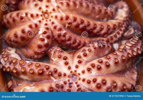 Whole Raw Octopus With Tentacles Stock Photo Image Of Fresh Closeup