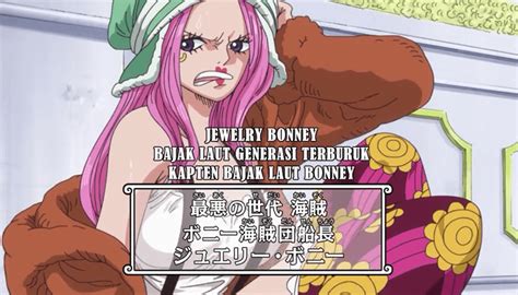 Anime One Piece New World Dimulai Dari Episode Berapa In 2023 One