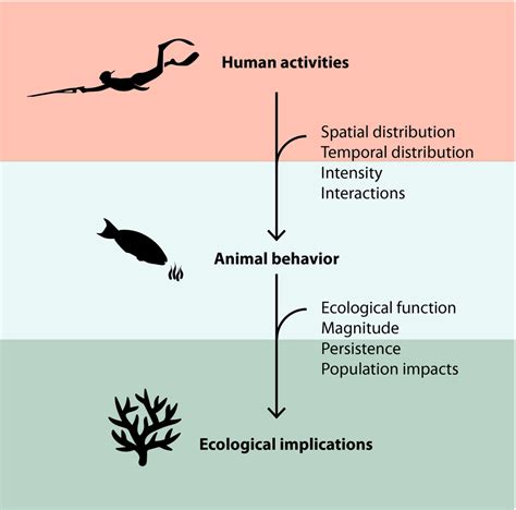 Factors Influencing Links Among Human Impacts Animal Behaviour And
