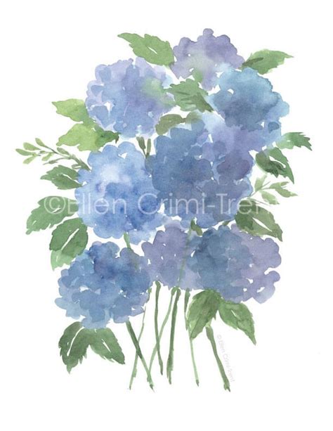 Watercolor Blue Hydrangea Watercolor Flowers Watercolor Wall Etsy