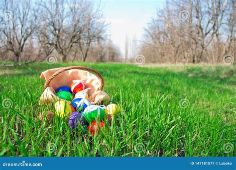 Easter Basket With Painted Eggs Outdoors In The Garden Stock Image