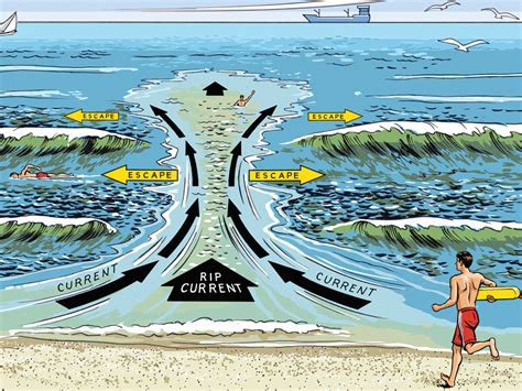 How to Escape From a Rip Current - Scout Life magazine