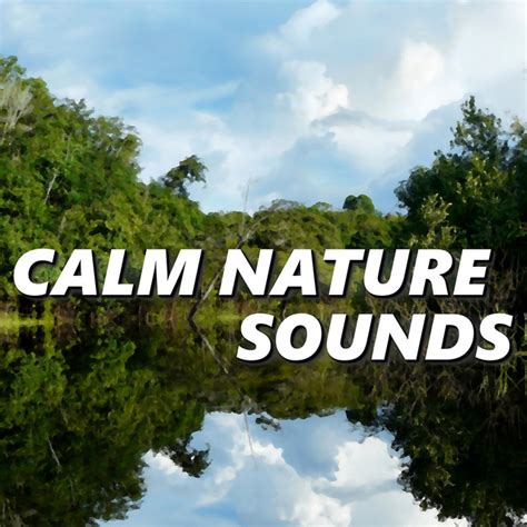 Calm Nature Sounds Spotify