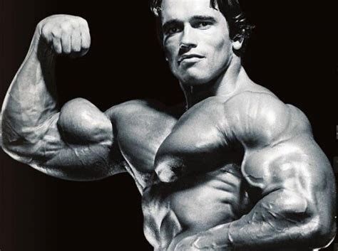 Best Top 8 Arms In Bodybuilding History Page 5 Of 8 Fitness Volt