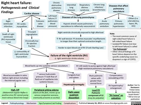 Heart Failure Calgary Guide Pathophysiology Nursing Emergency