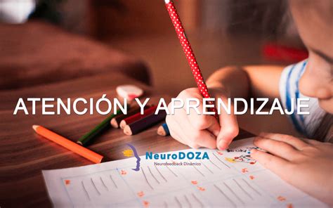 La Importancia De La Atención En El Aprendizaje Neurodoza