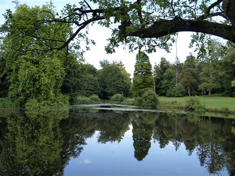 The Royal Landscape In Windsor Great Park Along Virginia W Flickr