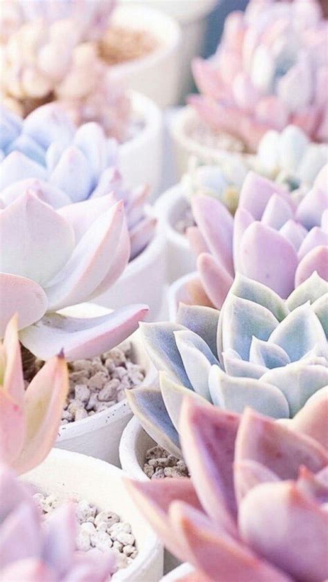 Saved by flowers emmalyn journal 10.5k mood wallpaper iphone wallpaper tumblr aesthetic aesthetic pastel wallpaper trendy wallpaper cute wallpaper backgrounds tumblr wallpaper wallpaper iphone cute pink wallpaper pretty wallpapers Image de pink, pastel, and aesthetic | Sanat çiçekler ...