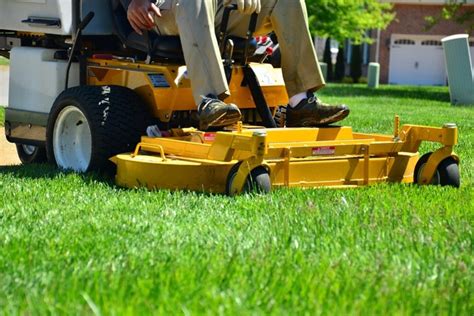 Best Time To Mow Your Lawn Grass Cutting 101