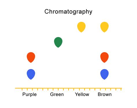 Learn About Chromatography Exam Corner