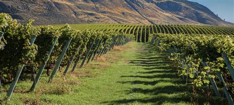 Valley Vineyards Circle Tour Tours And Drives Travel British Columbia