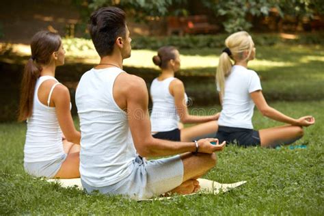 Clase De La Yoga Grupo De Personas Que Medita En El Parque Del Verano