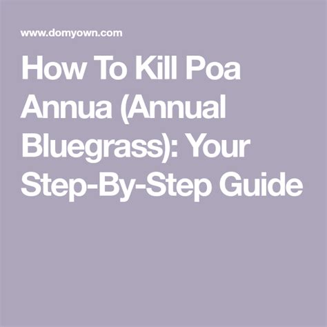 How To Rid Lawn Of Poa Annua
