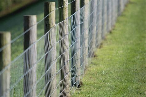 Different Types Of Wire Fences