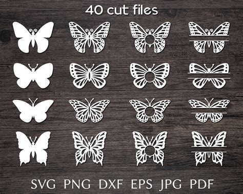 Butterfly Svg Cut File for Cricut Family Name Svg Bundle - Etsy