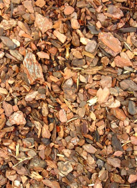 Maritime pine bark, an excellent ornamental mulch, ideal for heath plants