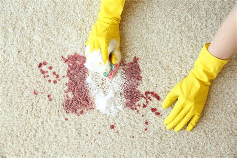4 Ways To Remove Blood Stains From Carpet Tidylife