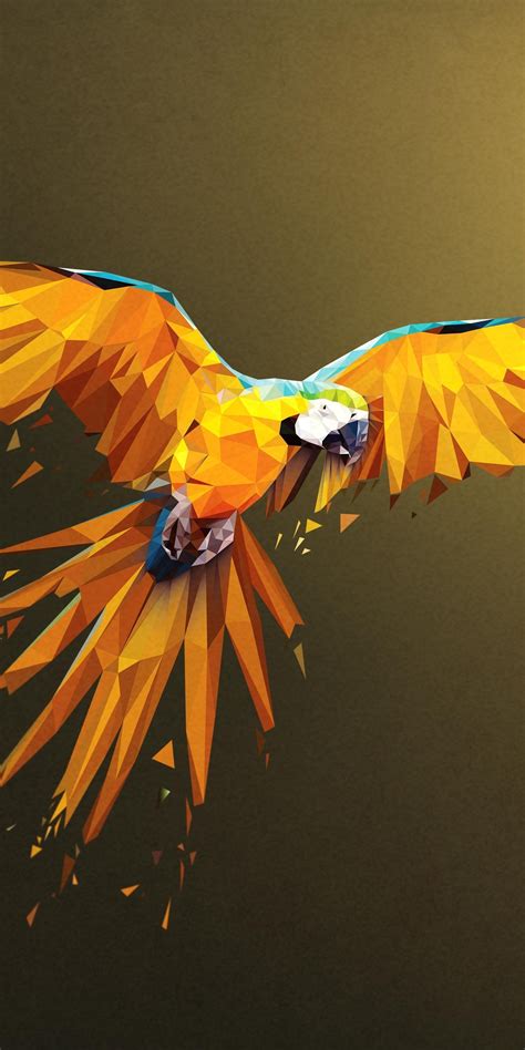 1080x2160 Macaw Low Poly Digital Art 4k One Plus 5thonor 7xhonor View