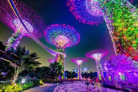 Singapore Gardens By The Bay Night