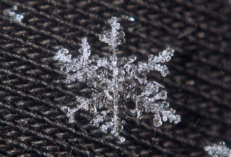 Snowflake Crystal Close Up Stock Photo Image Of Melting 85780260