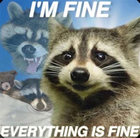 Typing Raccoon Memes Myers Briggs Mbti Amino