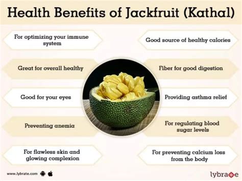 Jackfruit Nutritional Information Blog Dandk