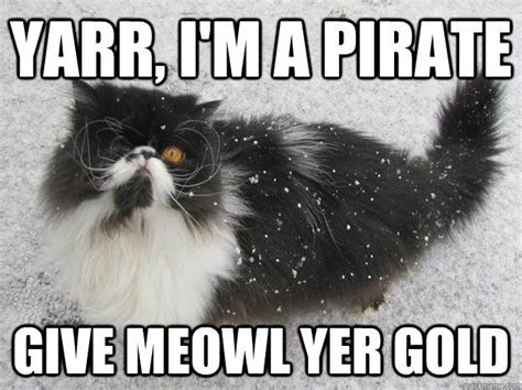 14 of the best cat memes of all time