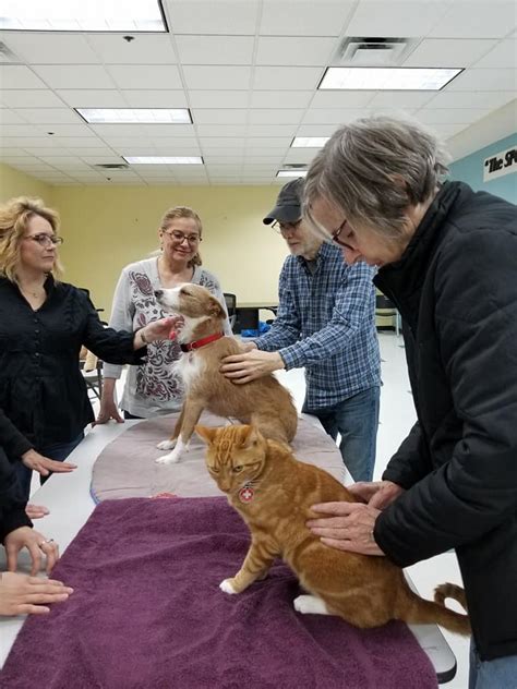 Becoming an elite fear free certified professional is for veterinary members who want to go above and beyond pet sitter certification membership. Park Cities Pet Sitter Staff Receives Pet First Aid & CPR ...